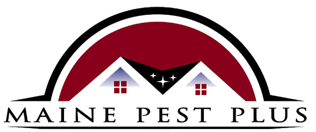 Maine Pest Plus Logo